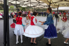 IMG_20180922_145321