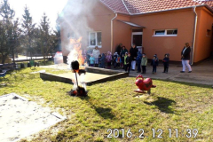 nevelesi-ev258