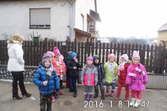 nevelesi-ev271